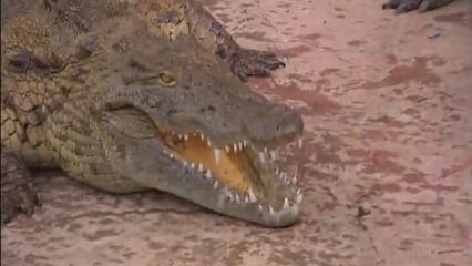 Опасный секс (2006) порно фильм с русским переводом