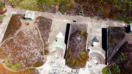 С помощью беспилотника сняли порнофильм Drone Boning