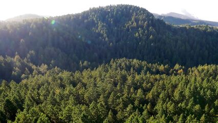 С помощью беспилотника сняли порнофильм Drone Boning