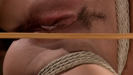 Жесткое брутальное грубое БДСМ порно с Savannah Fox