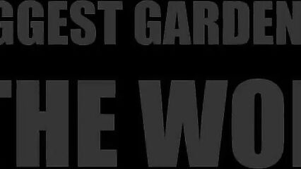 Массовое групповое порно видео свингеров на улице