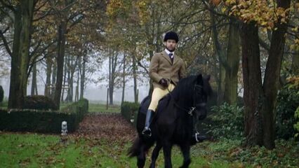 Порно фильмы: Замужняя женщина. Зов страсти с переводом