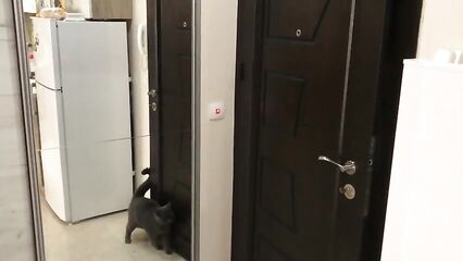 Домашнее порно: Анал в прихожей возле зеркала