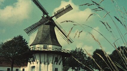 Сексуальные приключения трех мушкетеров (1971)