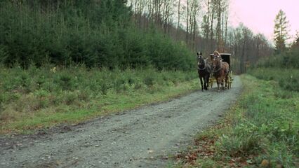 Сексуальные приключения трех мушкетеров (1971)