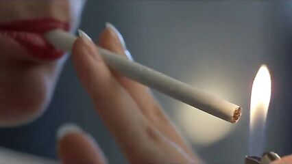 Дикая орхидея / Wild Orchid (1989) смотреть онлайн