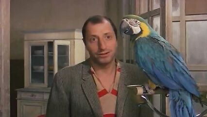 Эро фильм Сахар, мед и перчик (1980) на русском языке!