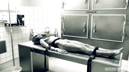 Секс с инопланетянином из разбившегося Розуэлльского НЛО