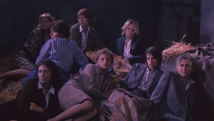 Женщины, депортированные в специальный лагерь СС (1976)